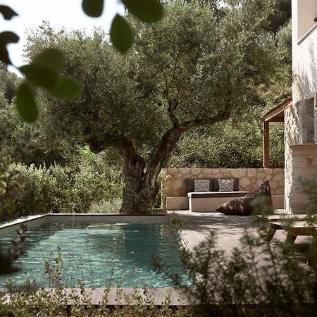 Zayn Luxury Villas, A Serene Escape, By Thinkvilla ซีลีวี ภายนอก รูปภาพ