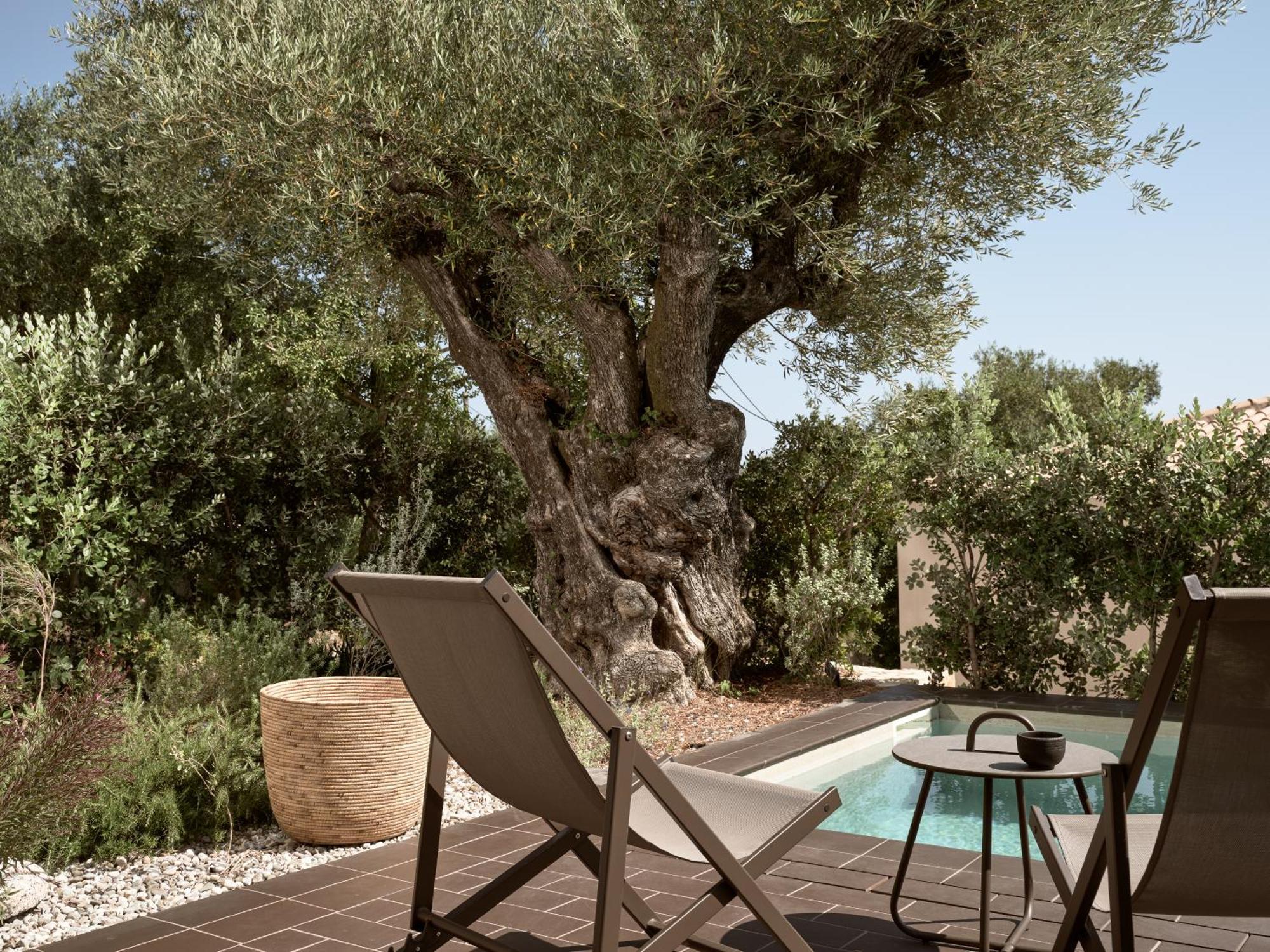 Zayn Luxury Villas, A Serene Escape, By Thinkvilla ซีลีวี ภายนอก รูปภาพ