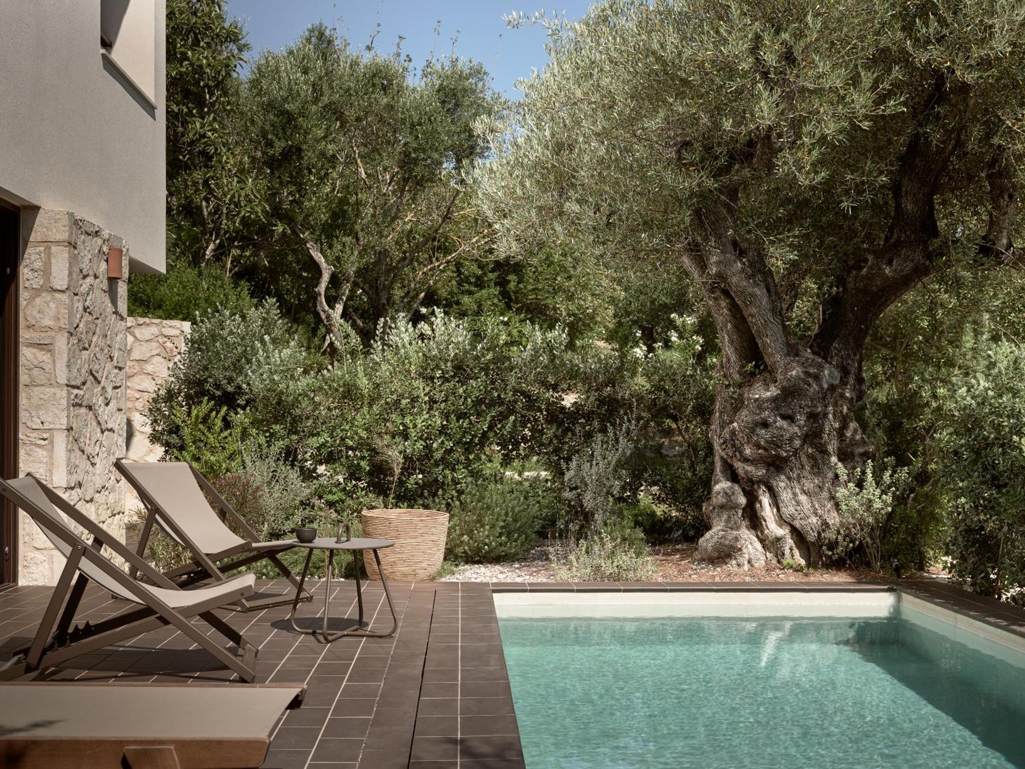 Zayn Luxury Villas, A Serene Escape, By Thinkvilla ซีลีวี ภายนอก รูปภาพ